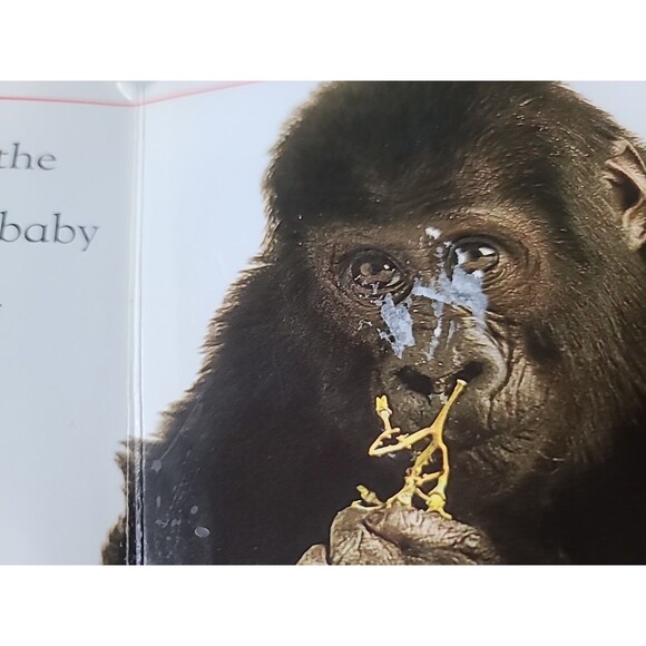 Touch And Feel Baby Animals Book - Picture 7 of 10